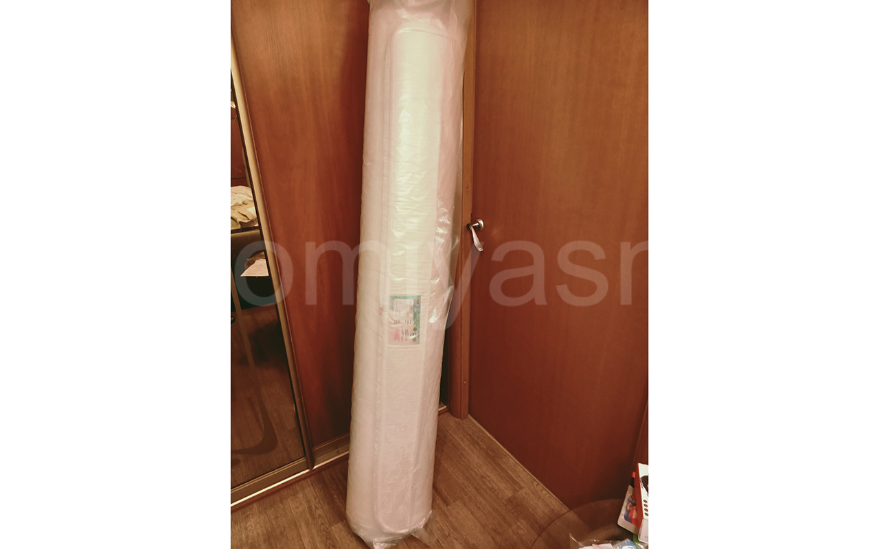 отзыв о Матрас для дивана Alitte Noland M-8-E